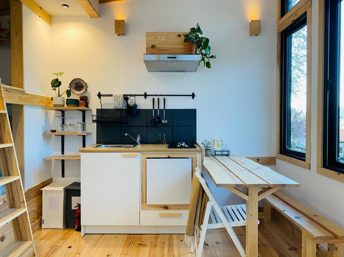 Land Of Deveza - Tiny Houses São Pedro do Sul Exterior photo