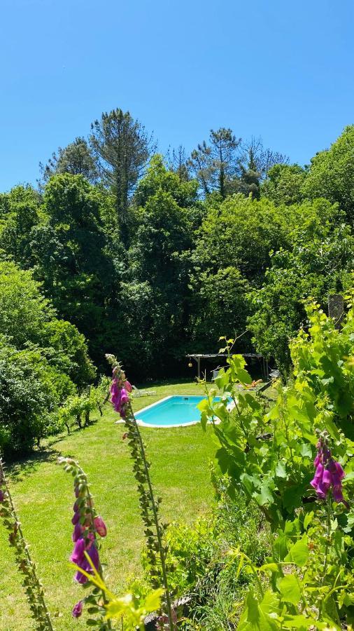 Land Of Deveza - Tiny Houses São Pedro do Sul Exterior photo